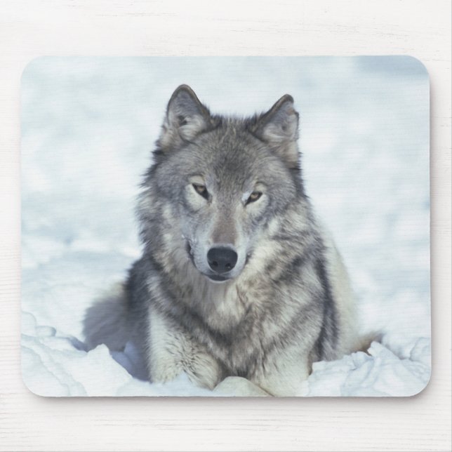 Mousepad Lobo (Frente)
