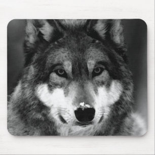 Mousepad Lobo