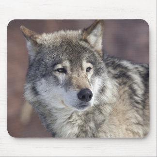 Mousepad Lobo