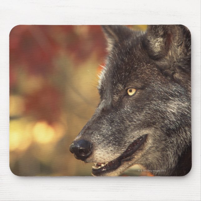 Mousepad Lobo 2 (Frente)