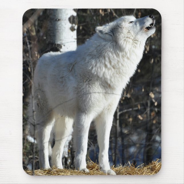 Mousepad Lobo ártico (Frente)