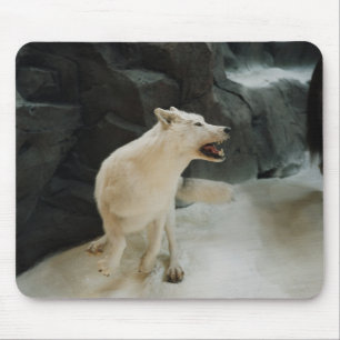 Mousepad Lobo Branco
