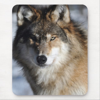 Mousepad Lobo cinzento