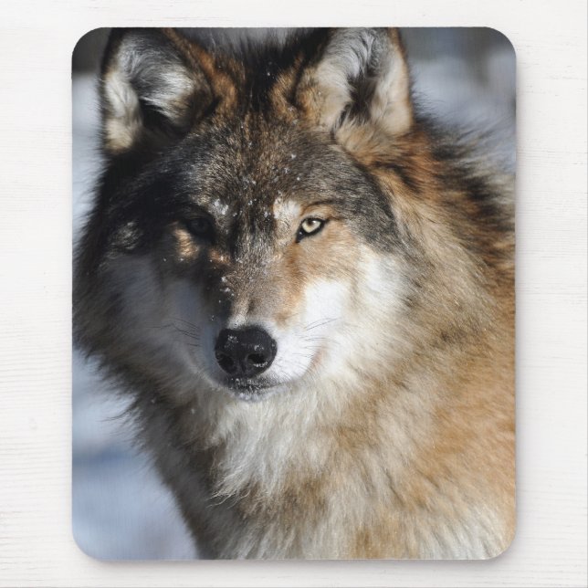Mousepad Lobo cinzento (Frente)