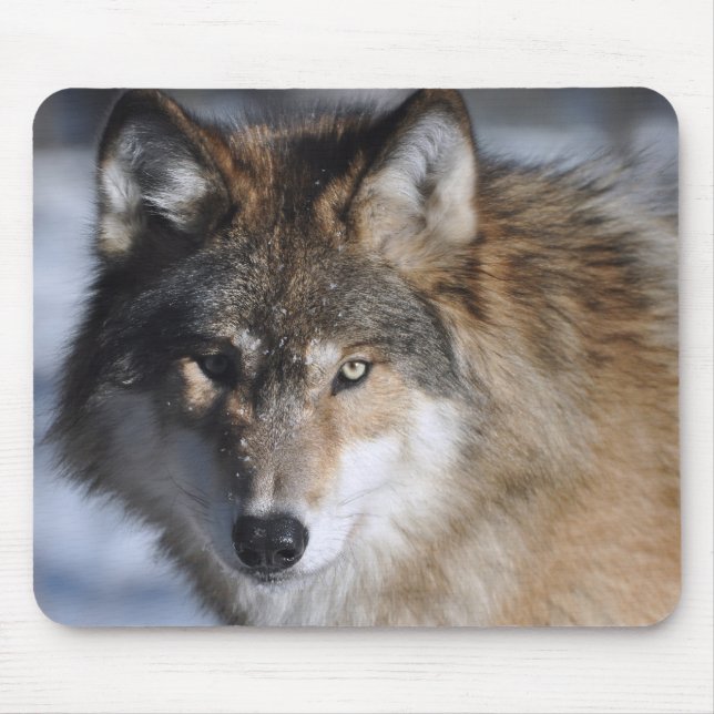 Mousepad Lobo cinzento (Frente)