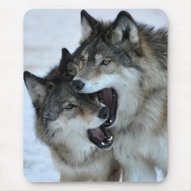 Mousepad Lobo cinzento (Frente)