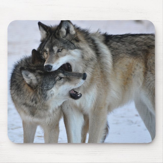 Mousepad Lobo cinzento (Frente)
