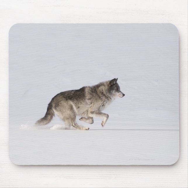 Mousepad Lobo correndo na neve 2 (Frente)
