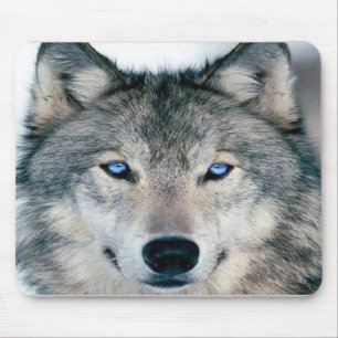 Mousepad Lobo Eyed azul