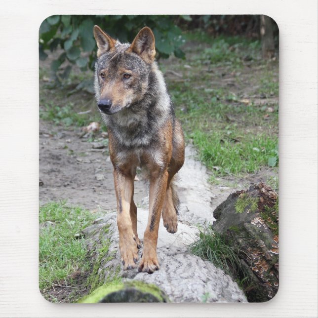 Mousepad lobo ibérico (Frente)