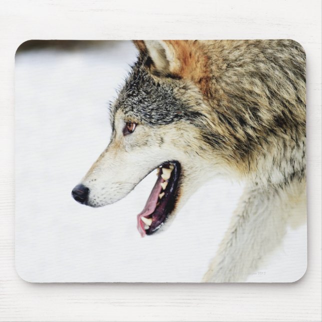 Mousepad Lobo na galeria (Frente)