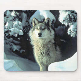 Mousepad Lobo no Olhar da Floresta de Inverno
