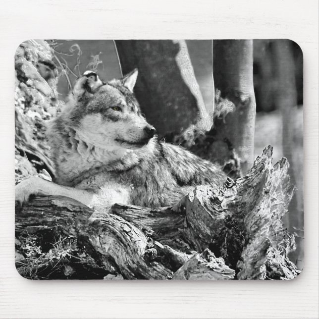 Mousepad lobo observador (Frente)