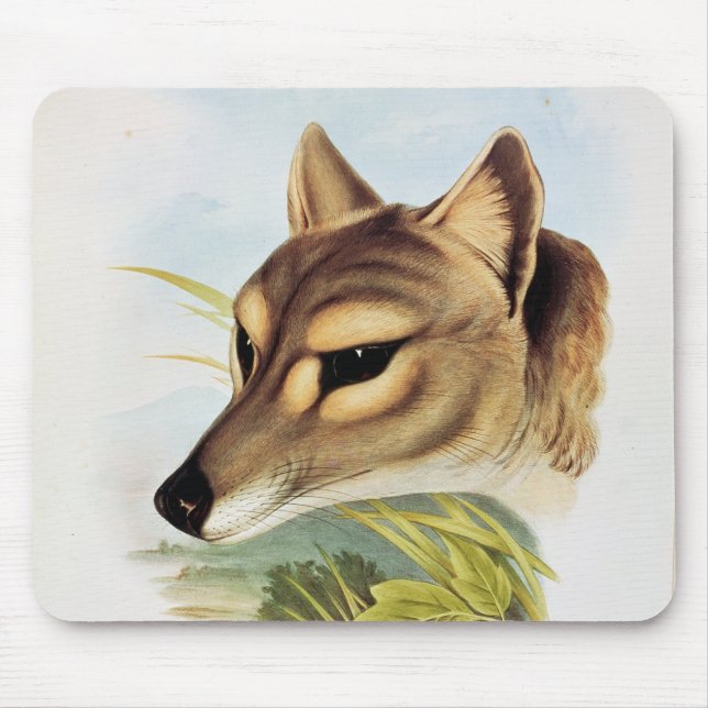 Mousepad Lobo ou tigre tasmaniano (Frente)