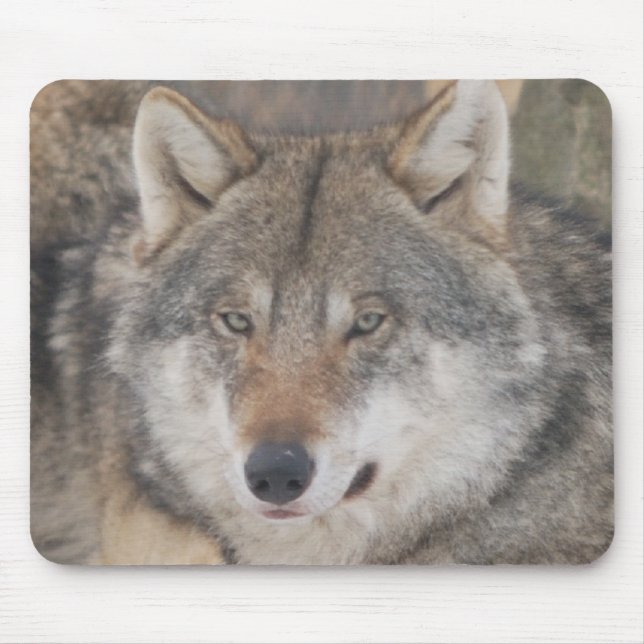 Mousepad Lobos (Frente)