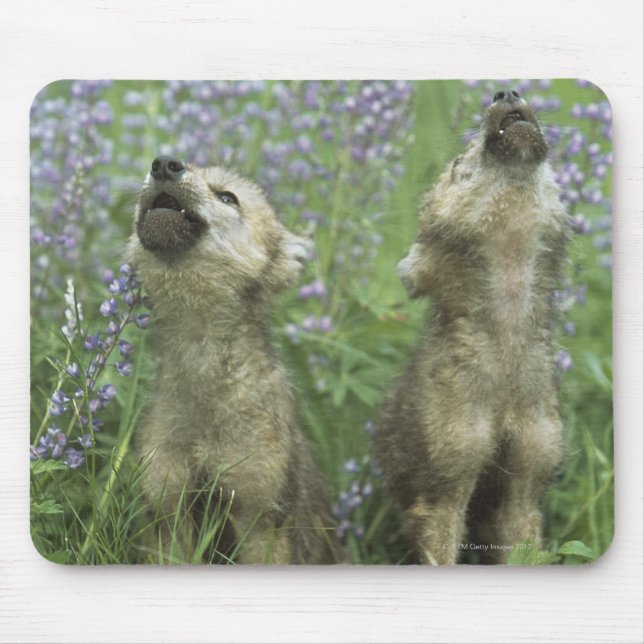 Mousepad Lobos Adormecidos A Uivar No Prado (Frente)