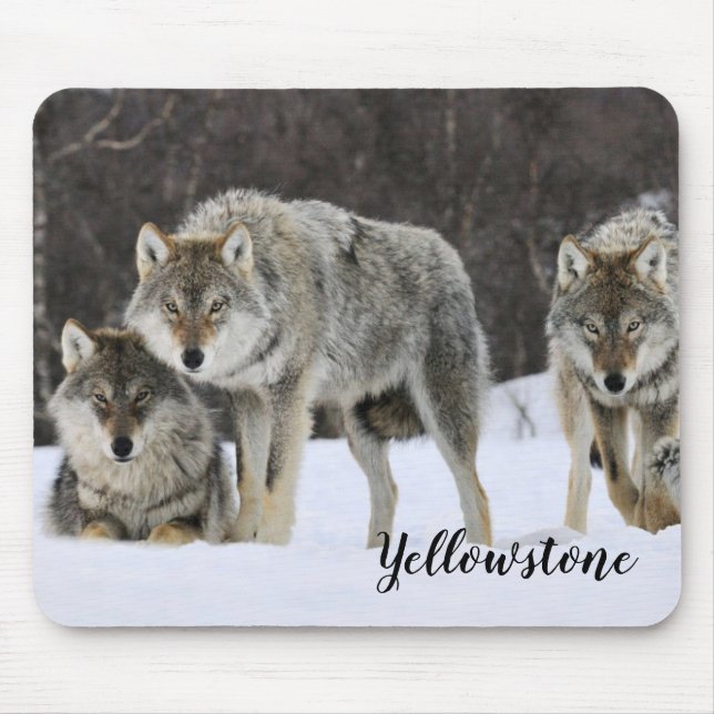 Mousepad Lobos de Mouse Pad-Yellowstone (Frente)