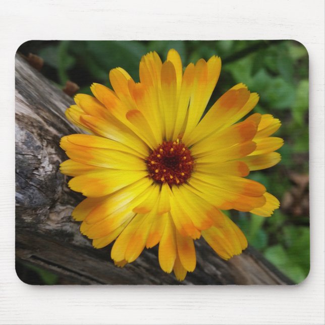 Mousepad log marigold on (Frente)