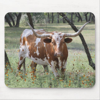 Mousepad Longhorn