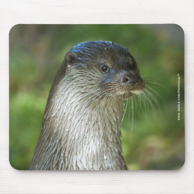 Mousepad Lontra (Frente)