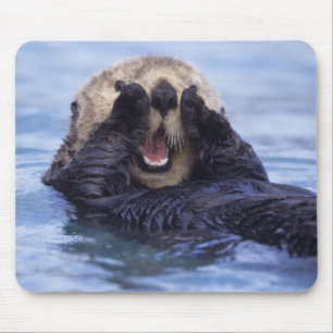 Mousepad Lontra do Mar de Cute   Alasca, EUA