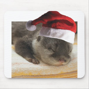 Mousepad Lontra-dormente