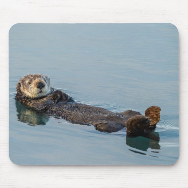 Mousepad Lontra marinha flutuando de costas no oceano (Frente)