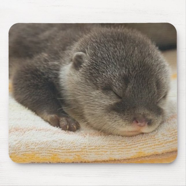 Mousepad Lontra Sonolenta (Frente)