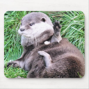 MOUSEPAD LONTRAS