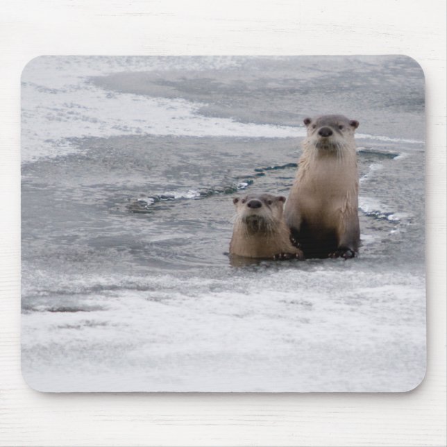 Mousepad Lontras de Yellowstone River (Frente)