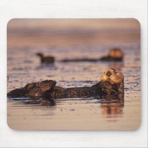 Mousepad Lontras Marinhas, Enhydra lutris 3