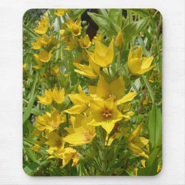 Mousepad Loosestrife amarelo Mousemat (Frente)