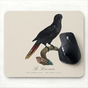 Mousepad Lório-preto ou Lório-de-bico-vermelho, Chalcopsitt