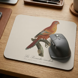 Mousepad Lório-vermelho ou Eos Borneu, Trichoglossus borneu