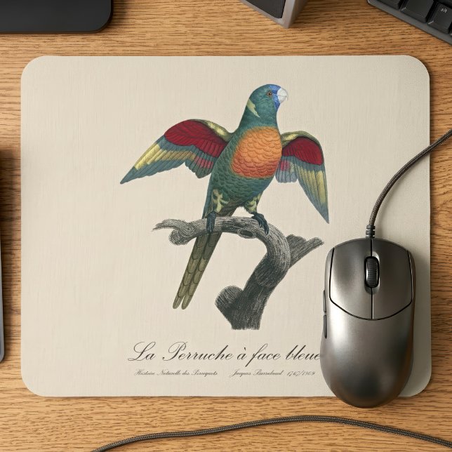 Mousepad Loriqueet Louro, Trichoglossus haematodus (Coconut Lorikeet, Trichoglossus haematodus. Mouse Pad)