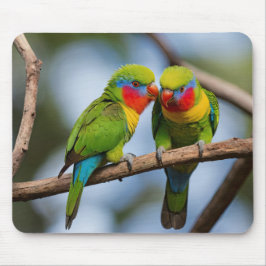 Mousepad Loriqueis Arco-íris