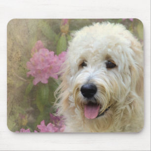 Mousepad loura dourada no jardim