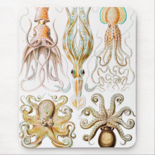 Mousepad Lula de Octopus, Gamochonia por Ernst Haeckel