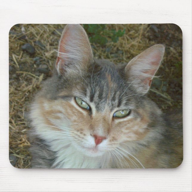 Mousepad Lulu - A dopar ao Noon (Frente)