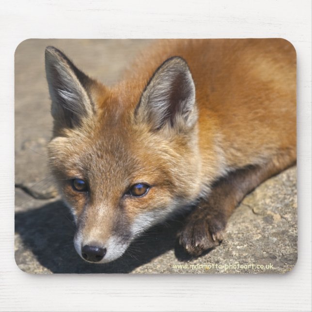 Mousepad Luna Fox Mousemat (Frente)