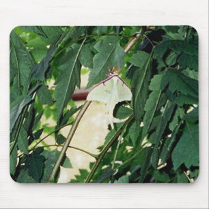 Mousepad Luna Moth