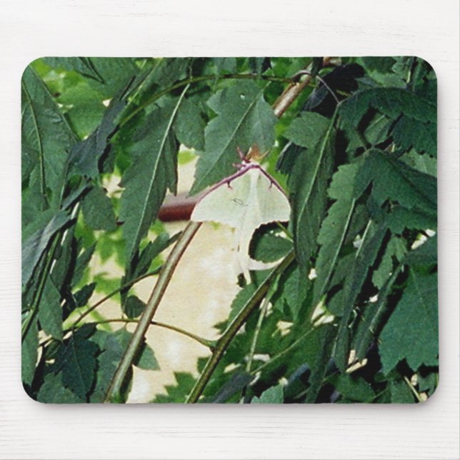 Mousepad Luna Moth (Frente)