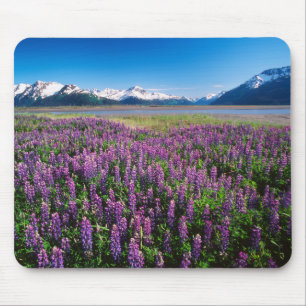 Mousepad Lupinas em Bloom Montanhas Kenai, Alasca