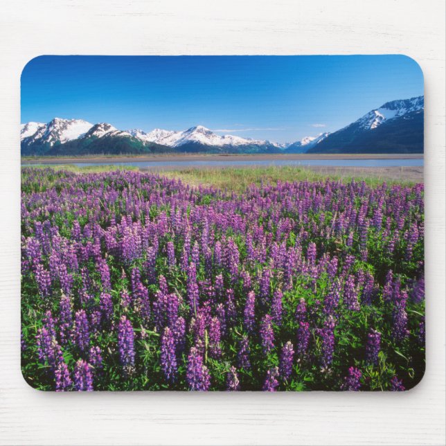 Mousepad Lupinas em Bloom | Montanhas Kenai, Alasca (Frente)