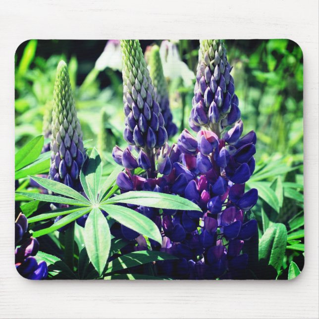 Mousepad Lupine Trio Flor (Frente)