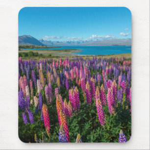Mousepad Lupines de Russle no lago Tekapo   Nova Zelândia