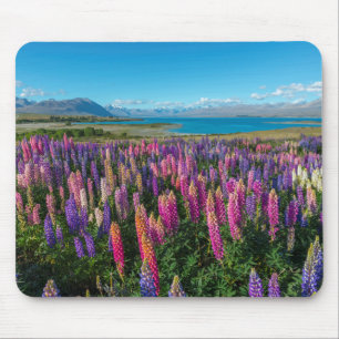 Mousepad Lupines de Russle no lago Tekapo   Nova Zelândia