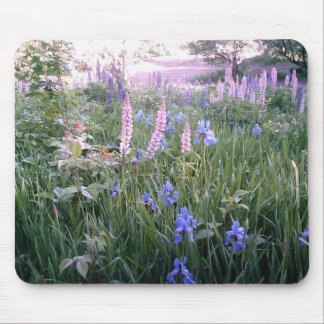 Mousepad Lupines & íris