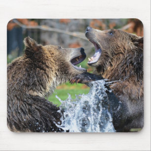 Mousepad Luta do urso de urso