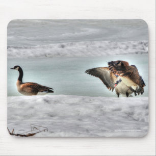 Mousepad Lutando com o Canadá sobre a fauna selvagem em gan
